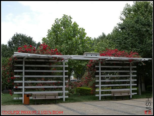 DSCN1200.jpg