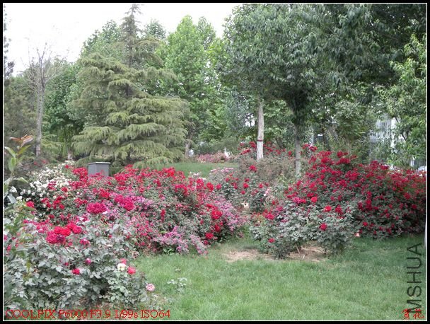 DSCN1206.jpg