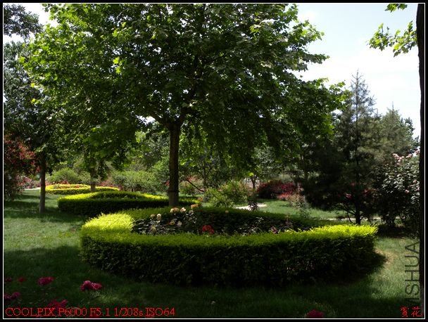 DSCN1211.jpg