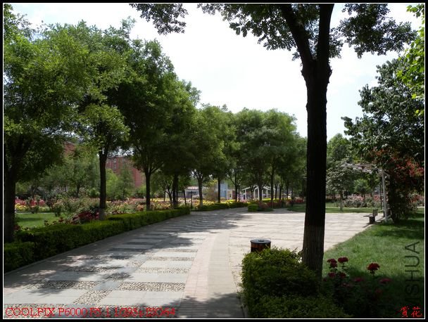 DSCN1213.jpg