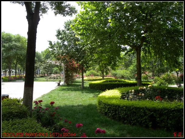 DSCN1212.jpg