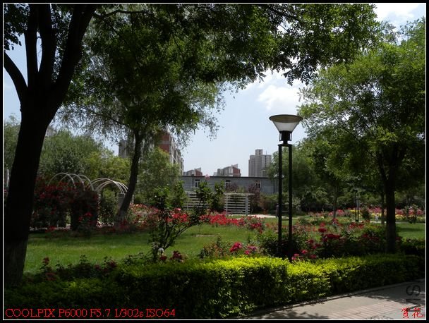 DSCN1215.jpg