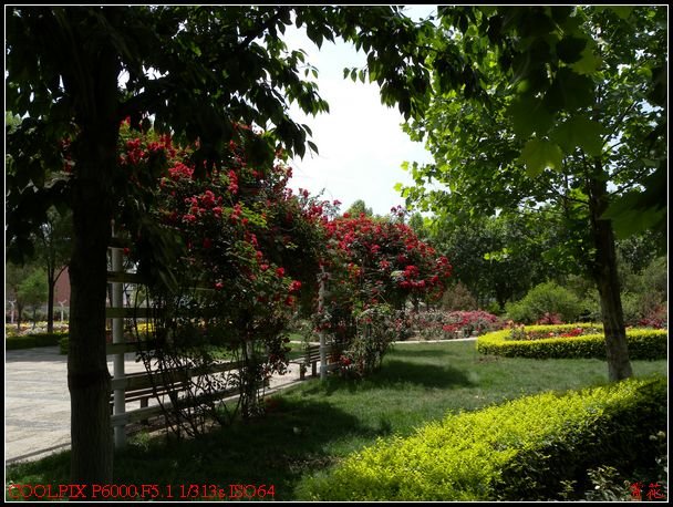 DSCN1217.jpg