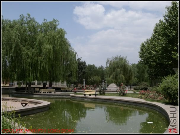 DSCN1181.jpg