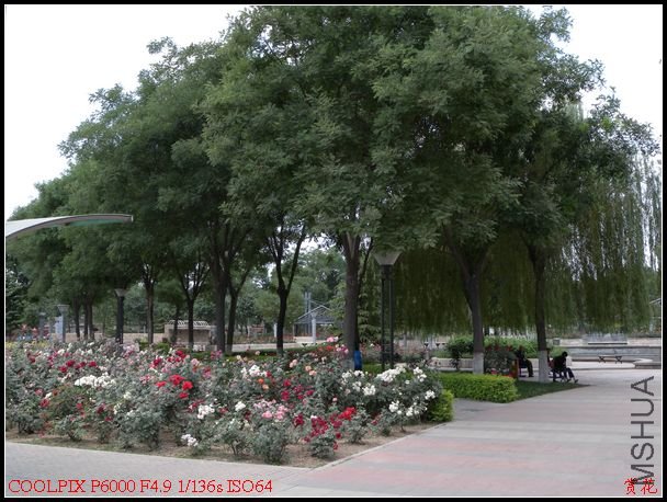 DSCN1185.jpg