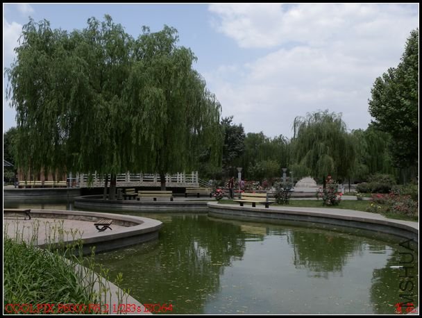 DSCN1182.jpg