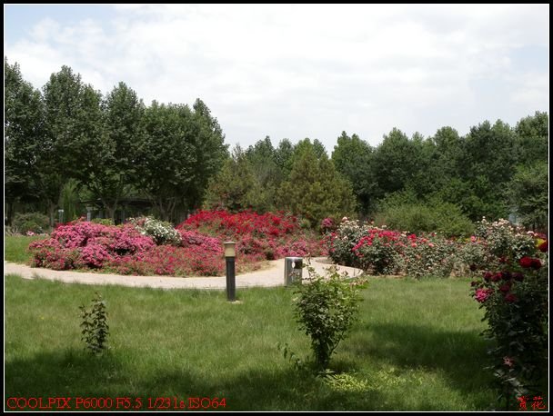 DSCN1193.jpg