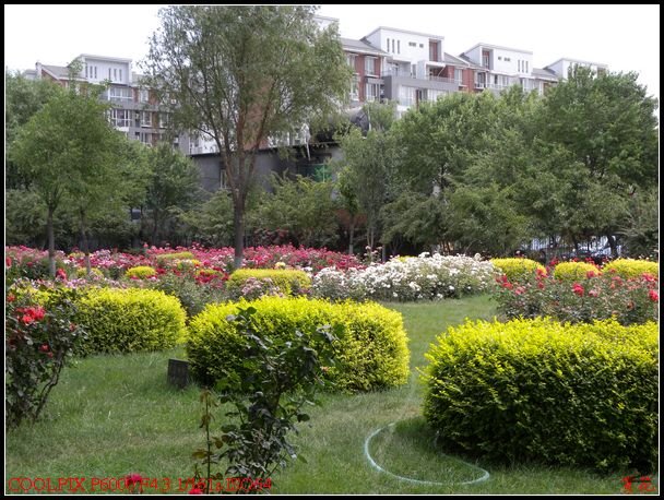 DSCN1192.jpg