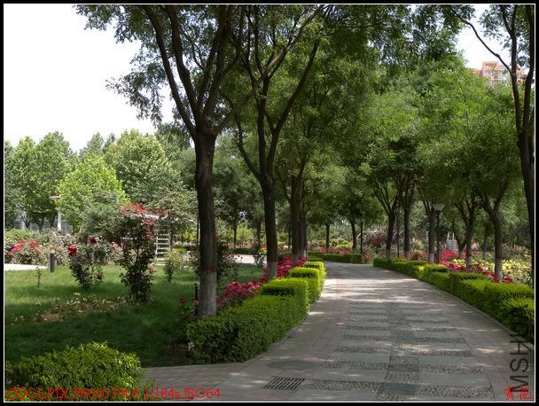 DSCN1190.jpg