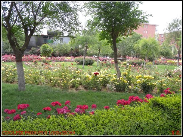 DSCN1195.jpg