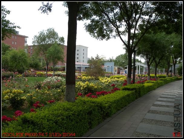DSCN1196.jpg
