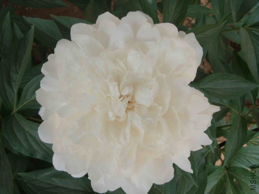 DSCN3224.JPG