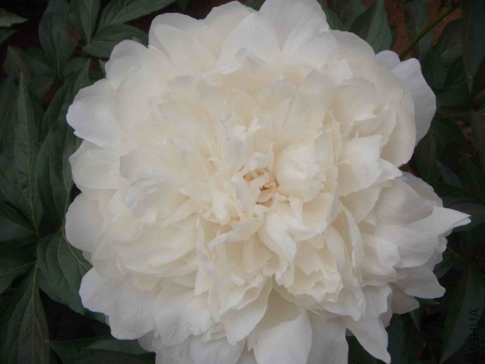 DSCN3245.JPG
