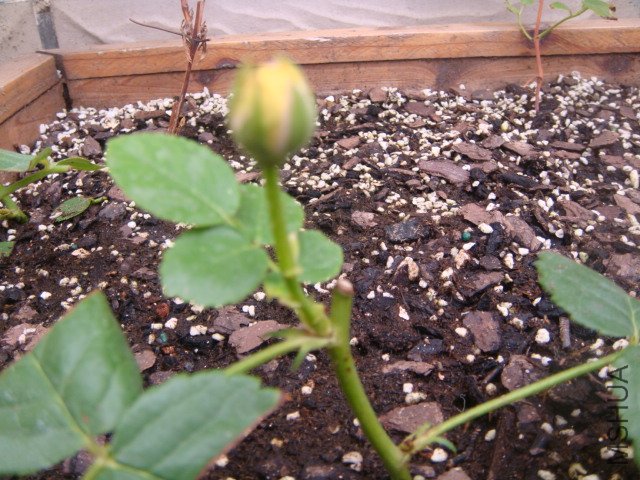 DSC01745.JPG