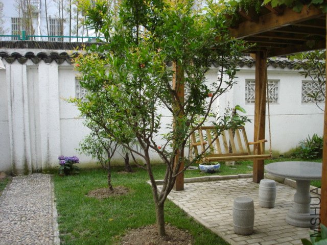 C1.JPG