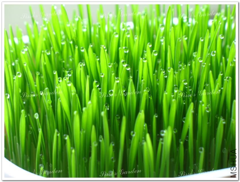 110609 С�� 1.jpg