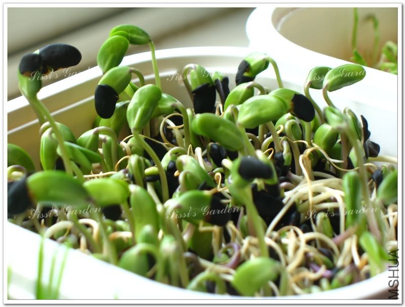 110609 �ڶ� 1.jpg