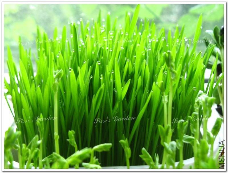 110610 С�� 1.jpg