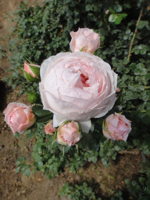 DSC05377.jpg
