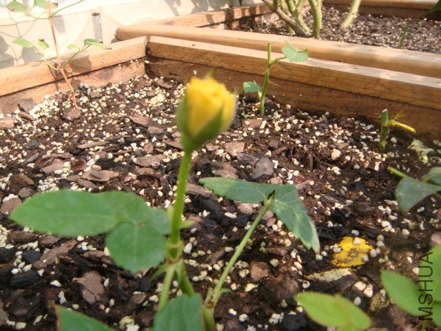 DSC01756.JPG
