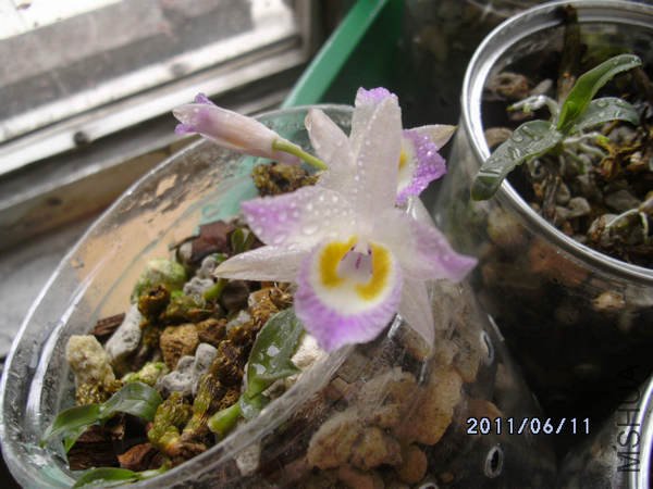 DSCK0558.JPG
