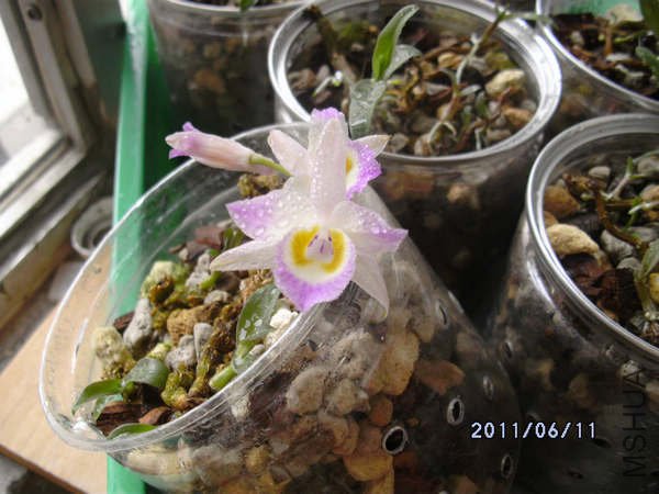 DSCK0562.JPG