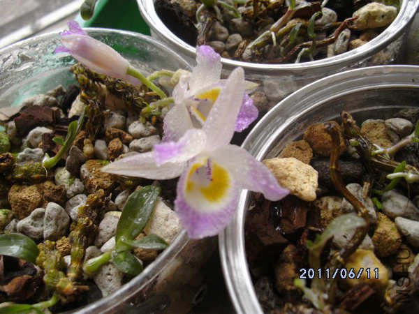 DSCK0554.JPG