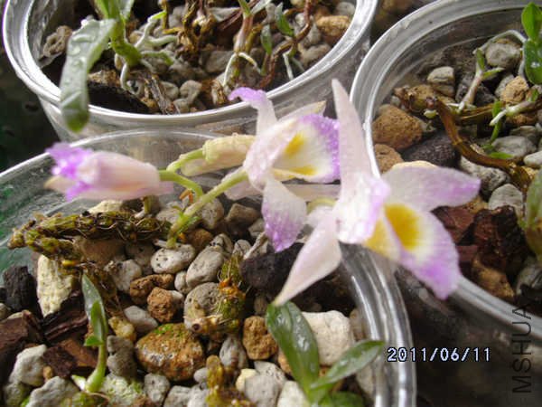 DSCK0553.JPG