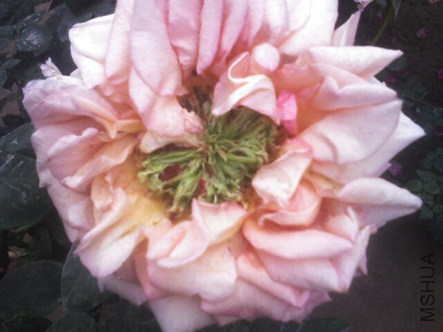 201105081252_341.jpg