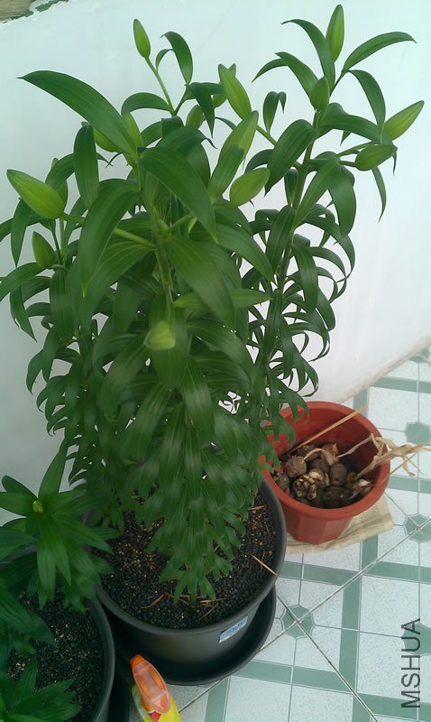 IMAG0151.jpg