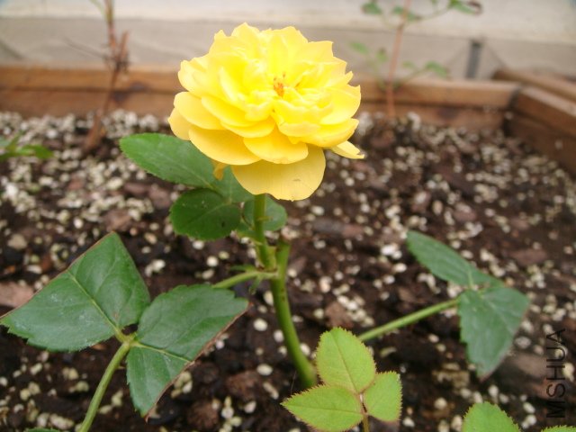 DSC01761.JPG