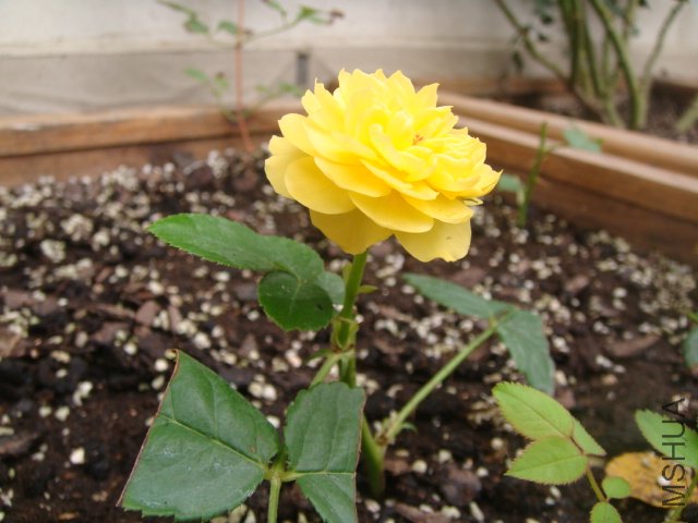 DSC01757.JPG