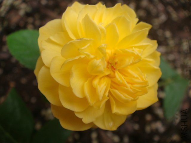 DSC01759.JPG