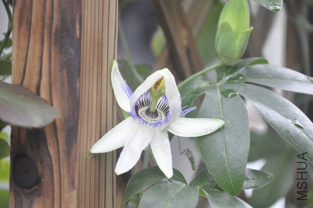 ��10���Ӻ�