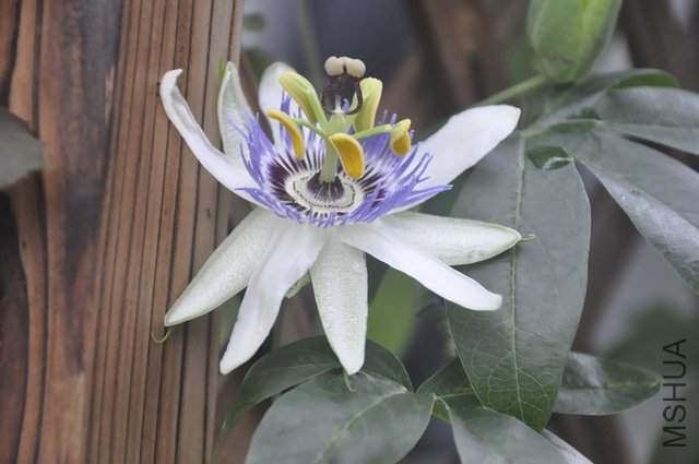 �Ȳ����ˣ��ֹ���æ