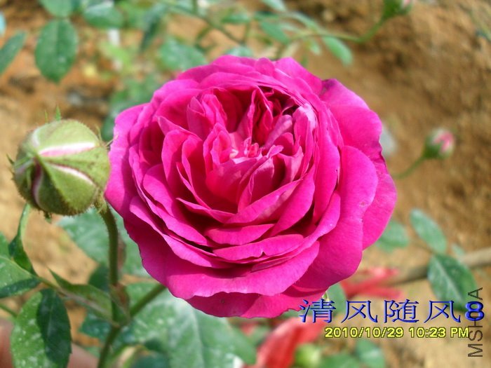 ��������� (5).jpg