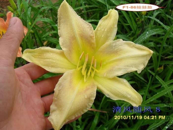 F1-86������ (5).jpg