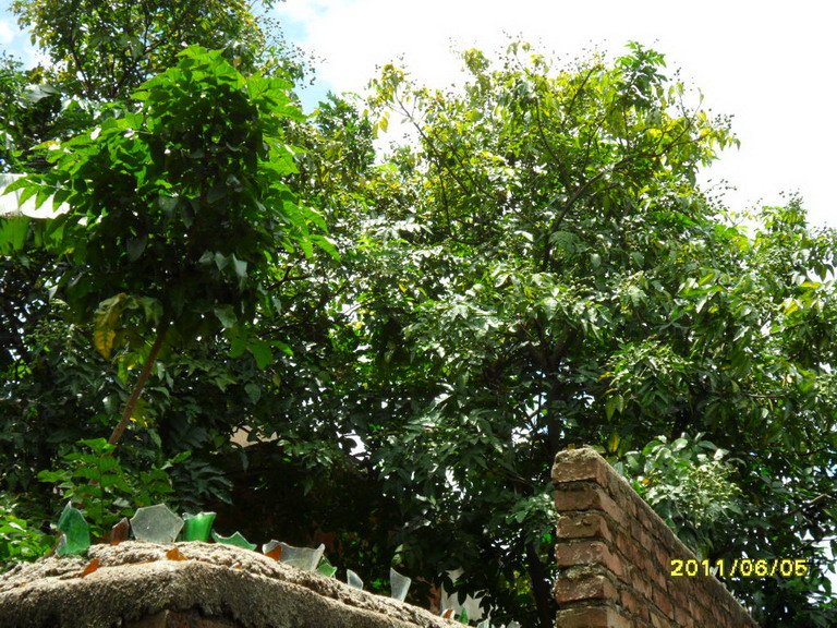 SAM_0773.JPG