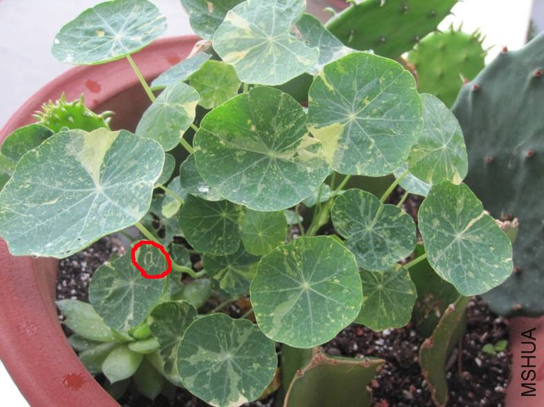 δ����-2 ����.jpg