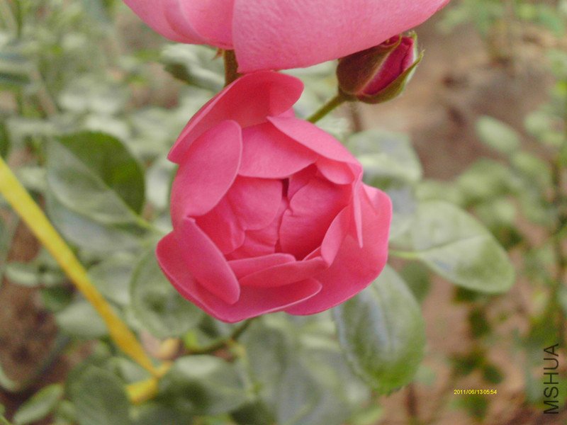 IMAG0185_����.jpg