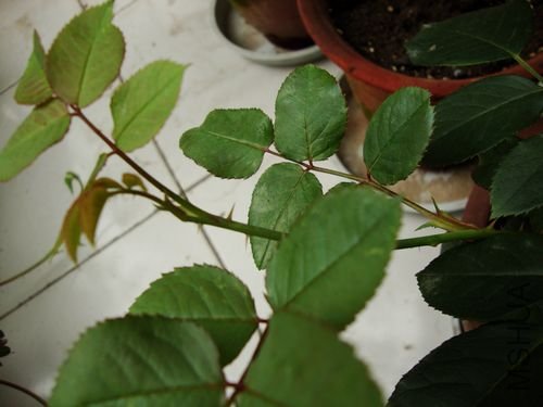nEO_IMG_�޻�3.jpg