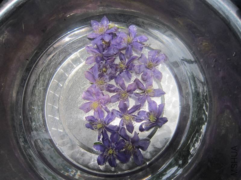 ��ͳ612��Ƭ 001.jpg