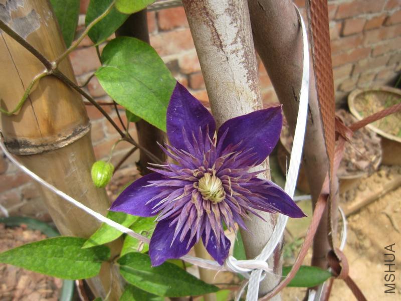 ����612��Ƭ 015.jpg