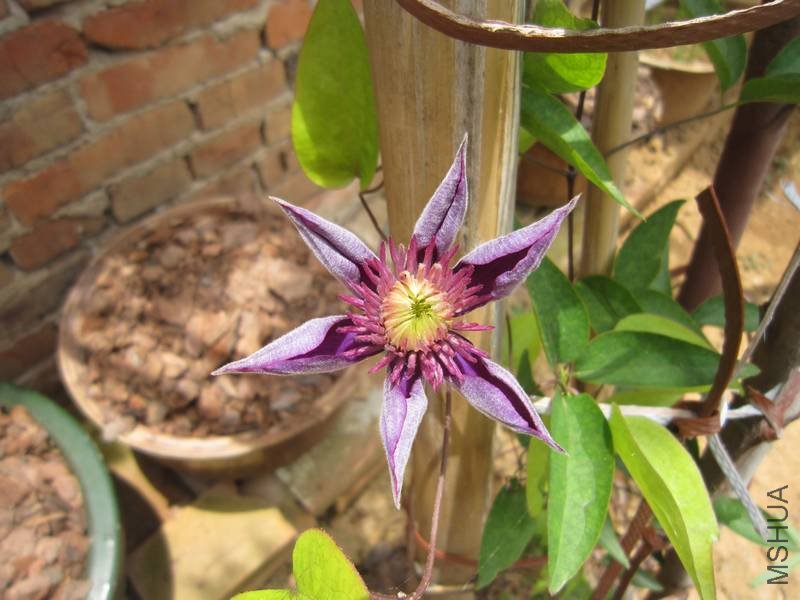 ����612a��Ƭ 016.jpg