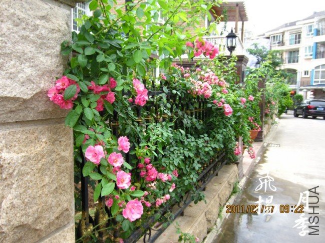 IMG_0399_conew2.jpg