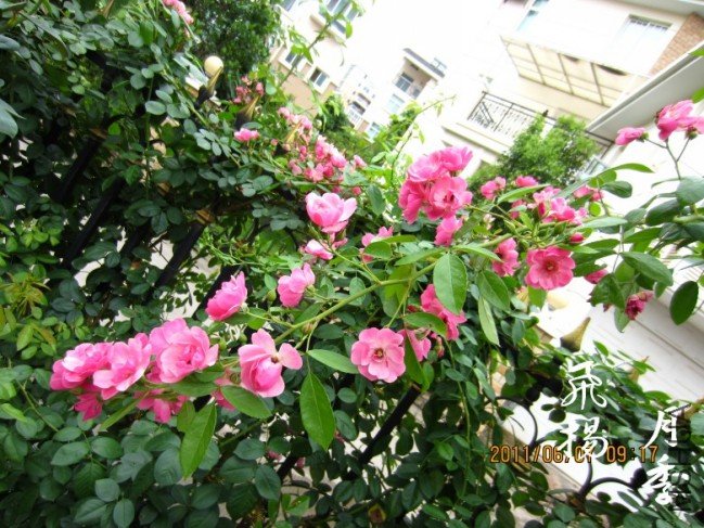 IMG_0388_conew3.jpg