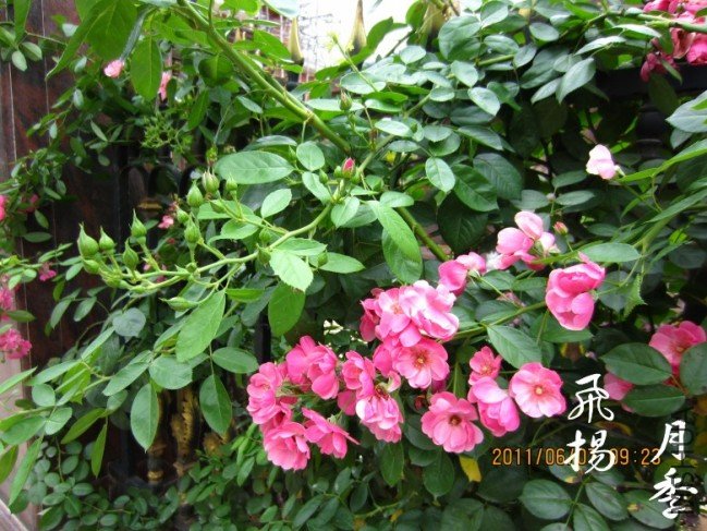 IMG_0402_conew3.jpg