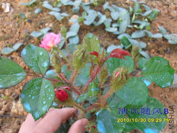 ���� (Treasure Trail) (3).jpg