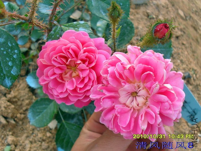 ���� (Treasure Trail) (1).jpg