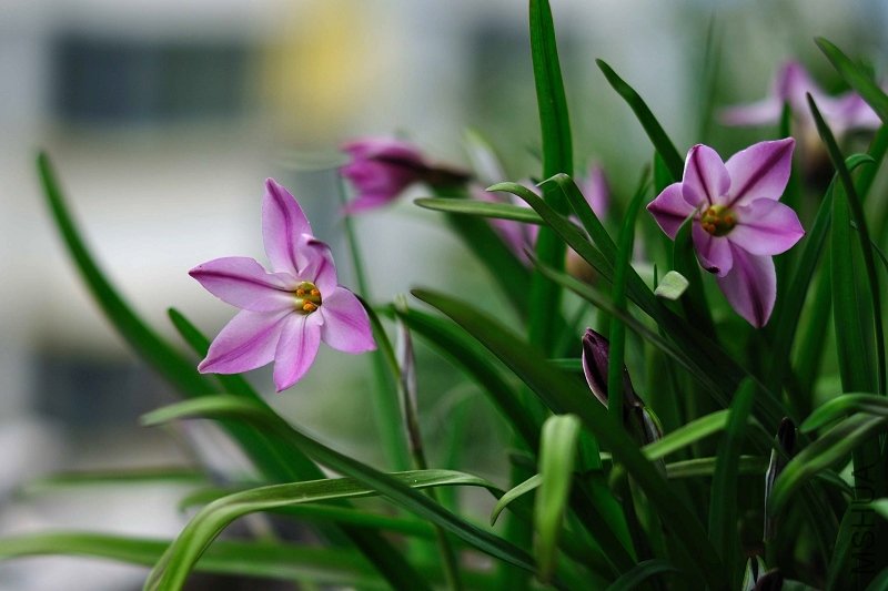 nEO_IMG_DSC_0525.jpg